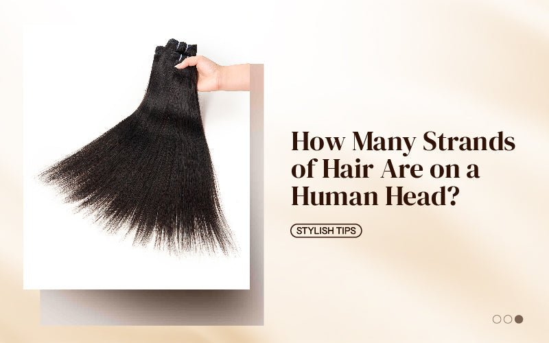 How Many Strands of Hair Are on a Human Head? - newmiss hair
